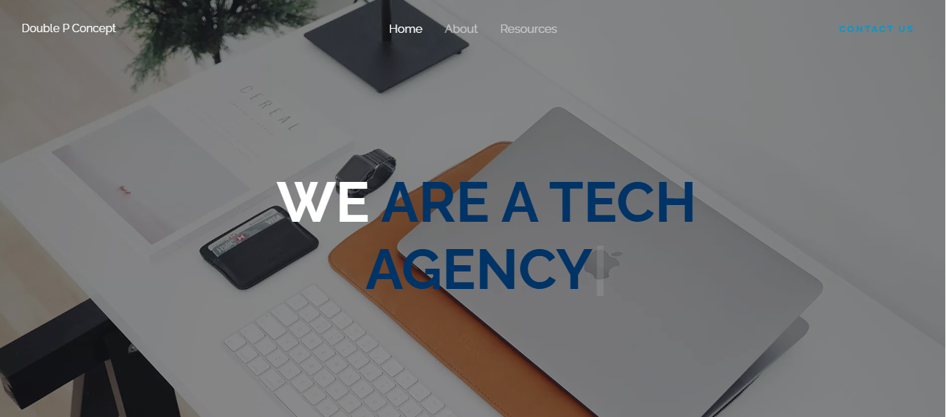 Double P Concept Website